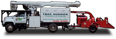 Dogwood Tree Service